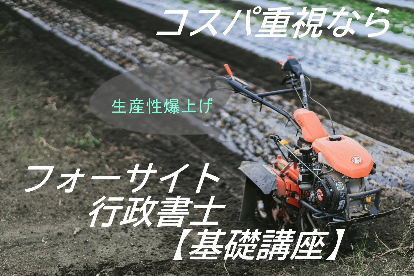 行政 書士 資格 こう りつ てき フォー サイト